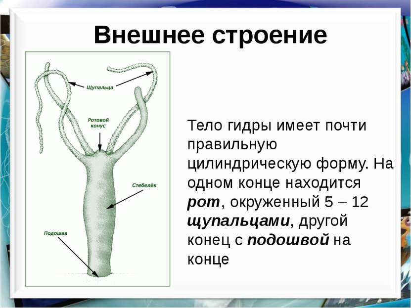 Вход на кракен зеркало